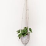Plant Hangers